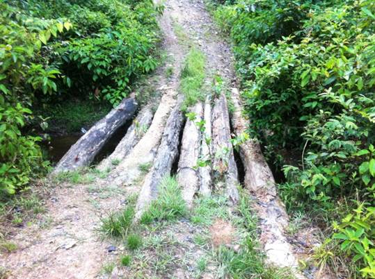 Description: D:\Gil Job Related Doc\Guyana\Guyana Photo Album\2012\03-16-12 Kituma\IMG_4026.JPG