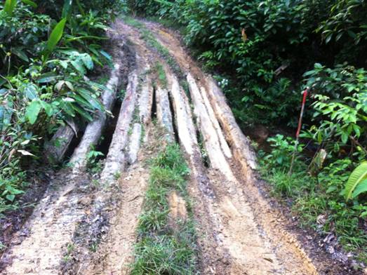 Description: D:\Gil Job Related Doc\Guyana\Guyana Photo Album\2012\03-16-12 Kituma\IMG_4029.JPG