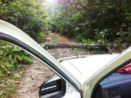 Description: D:\Gil Job Related Doc\Guyana\Guyana Photo Album\2012\03-16-12 Kituma\IMG_4035.JPG