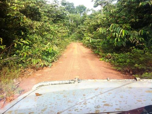 Description: D:\Gil Job Related Doc\Guyana\Guyana Photo Album\2012\03-16-12 Kituma\IMG_4039.JPG