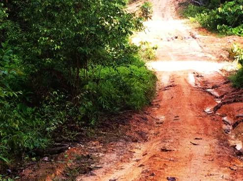 Description: C:\Users\Gil\AppData\Local\Microsoft\Windows\Temporary Internet Files\Content.Word\IMG_4042.jpg