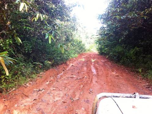 Description: D:\Gil Job Related Doc\Guyana\Guyana Photo Album\2012\03-16-12 Kituma\IMG_4045.JPG