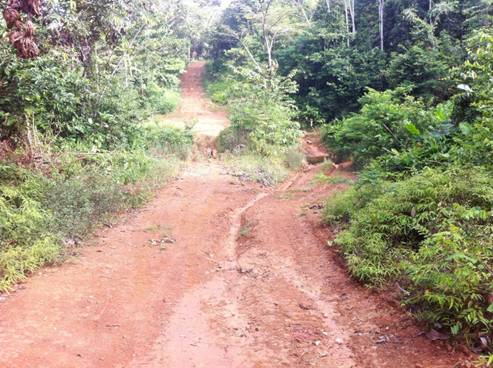 Description: D:\Gil Job Related Doc\Guyana\Guyana Photo Album\2012\03-16-12 Kituma\IMG_4047.JPG