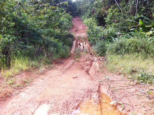 Description: D:\Gil Job Related Doc\Guyana\Guyana Photo Album\2012\03-16-12 Kituma\IMG_4048.JPG