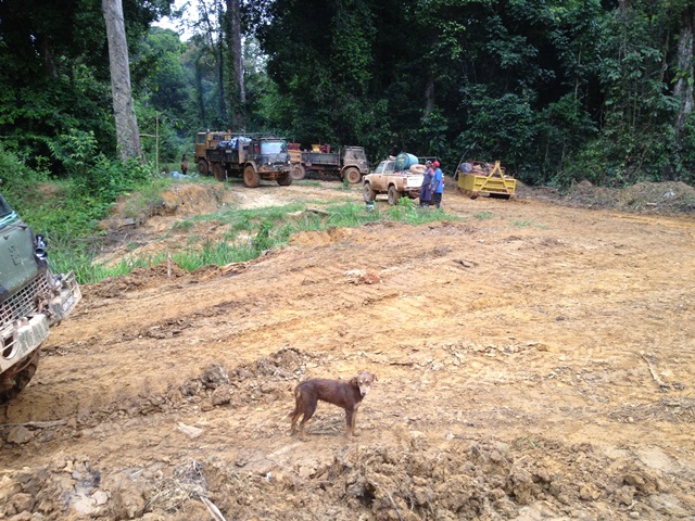 Description: D:\Gil Job Related Doc\Guyana\Guyana Photo Album\2012\Photos\04-10-12\web\7.jpg