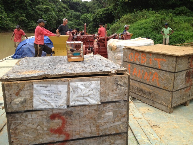 Description: D:\Gil Job Related Doc\Guyana\Guyana Photo Album\2012\Photos\04-10-12\web\24.jpg