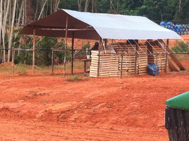 Description: D:\Gil Job Related Doc\Guyana\Guyana Photo Album\2012\Photos\04-12-12\web\3.jpg