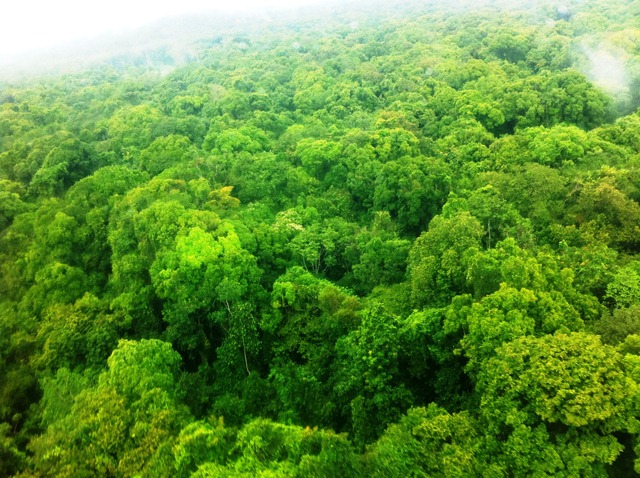 Description: D:\Gil Job Related Doc\Guyana\Guyana Photo Album\2012\Photos\04-12-12\web\16.jpg