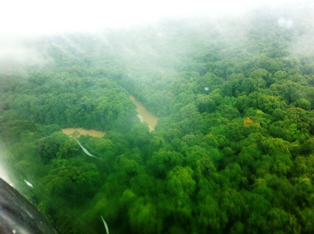 Description: D:\Gil Job Related Doc\Guyana\Guyana Photo Album\2012\Photos\04-12-12\web\17.jpg