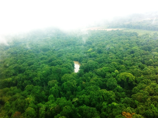 Description: D:\Gil Job Related Doc\Guyana\Guyana Photo Album\2012\Photos\04-12-12\web\18.jpg