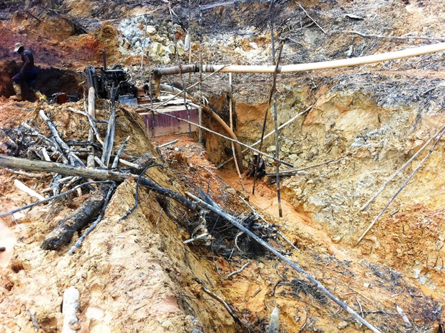 Description: D:\Gil Job Related Doc\Guyana\Guyana Photo Album\2012\Photos\05-02-12\Web\5.jpg