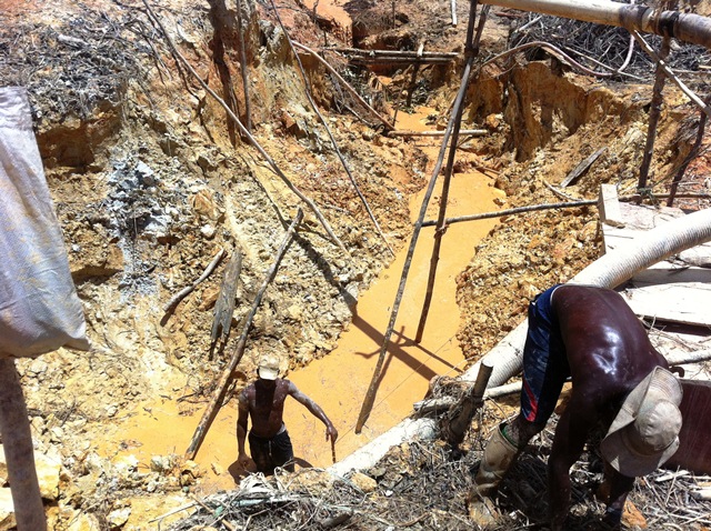 Description: D:\Gil Job Related Doc\Guyana\Guyana Photo Album\2012\Photos\05-02-12\Web\7.jpg