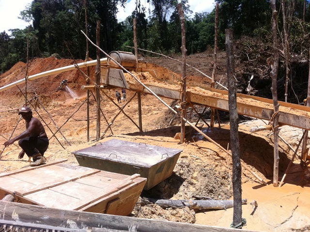 Description: D:\Gil Job Related Doc\Guyana\Guyana Photo Album\2012\Photos\05-02-12\Web\8.jpg