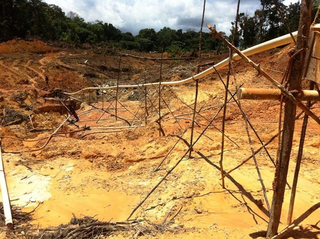 Description: D:\Gil Job Related Doc\Guyana\Guyana Photo Album\2012\Photos\05-02-12\Web\11.jpg