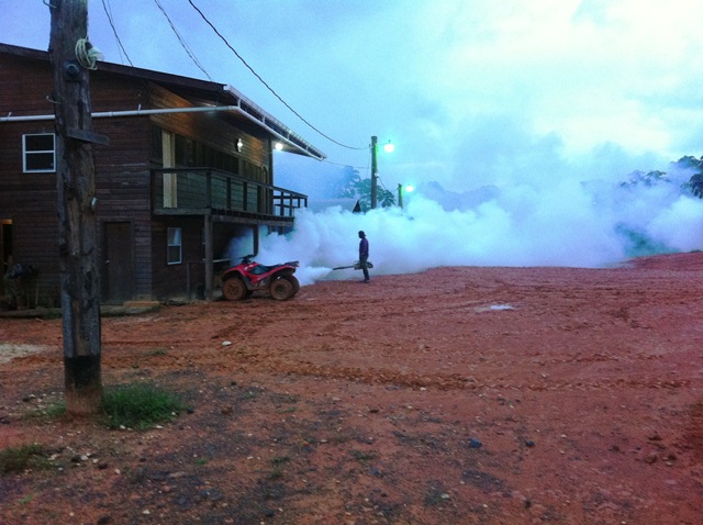 Description: D:\Gil Job Related Doc\Guyana\Guyana Photo Album\2012\Photos\05-02-12\Web\14.jpg