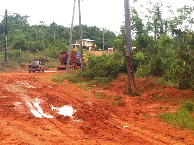 Description: D:\Gil Job Related Doc\Guyana\Guyana Photo Album\2012\Photos\04-07-12\web\22.jpg