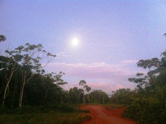 Description: D:\Gil Job Related Doc\Guyana\Guyana Photo Album\2012\Photos\04-08-12\web\1.jpg