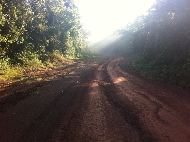 Description: D:\Gil Job Related Doc\Guyana\Guyana Photo Album\2012\Photos\04-08-12\web\4.jpg