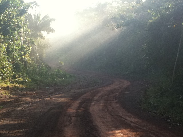 Description: D:\Gil Job Related Doc\Guyana\Guyana Photo Album\2012\Photos\04-08-12\web\5.jpg