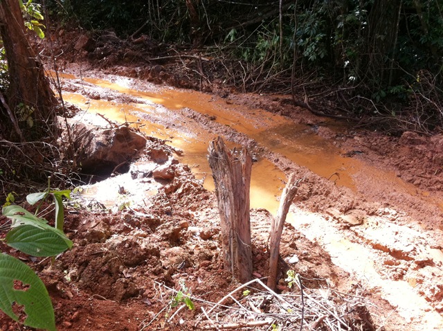 Description: D:\Gil Job Related Doc\Guyana\Guyana Photo Album\2012\Photos\04-08-12\web\19.jpg