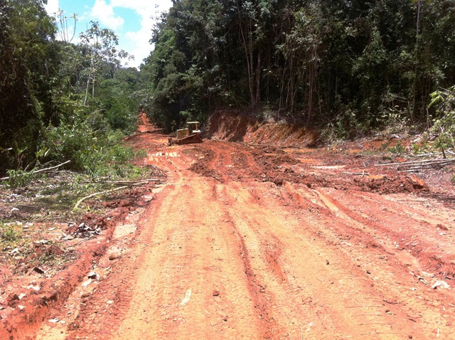 Description: D:\Gil Job Related Doc\Guyana\Guyana Photo Album\2012\Photos\04-08-12\web\32.jpg