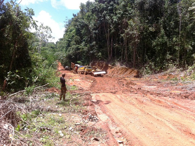 Description: D:\Gil Job Related Doc\Guyana\Guyana Photo Album\2012\Photos\04-08-12\web\33.jpg