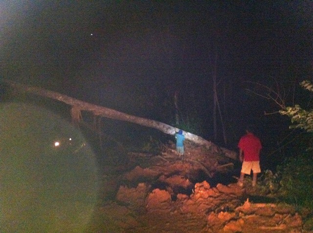 Description: D:\Gil Job Related Doc\Guyana\Guyana Photo Album\2012\Photos\04-08-12\web\50.jpg