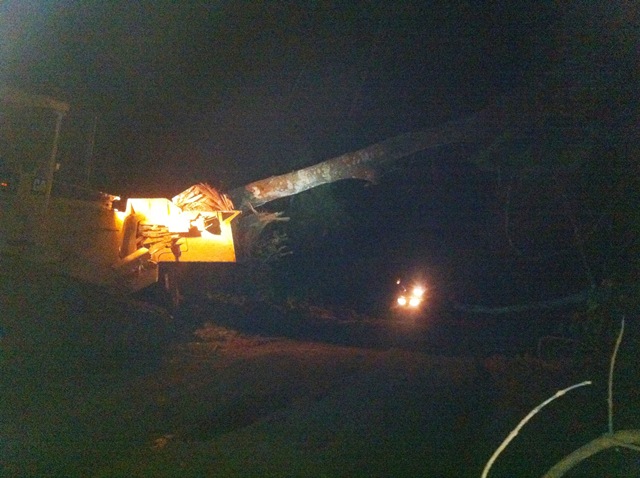 Description: D:\Gil Job Related Doc\Guyana\Guyana Photo Album\2012\Photos\04-08-12\web\51.jpg