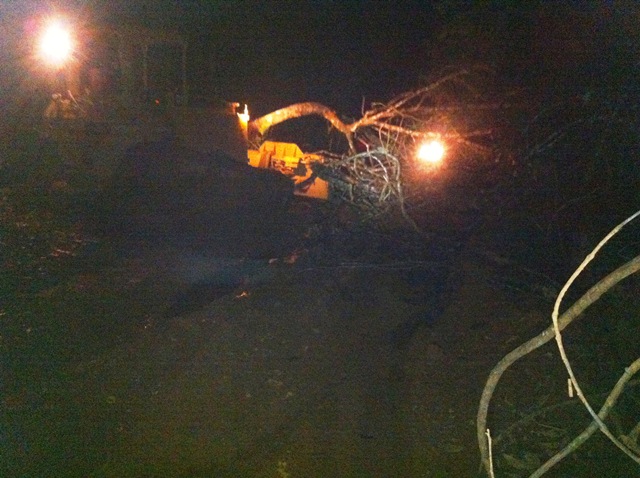 Description: D:\Gil Job Related Doc\Guyana\Guyana Photo Album\2012\Photos\04-08-12\web\52.jpg