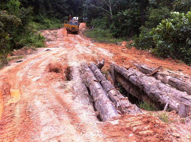 Description: D:\Gil Job Related Doc\Guyana\Guyana Photo Album\2012\Photos\04-09-12\web\28.jpg