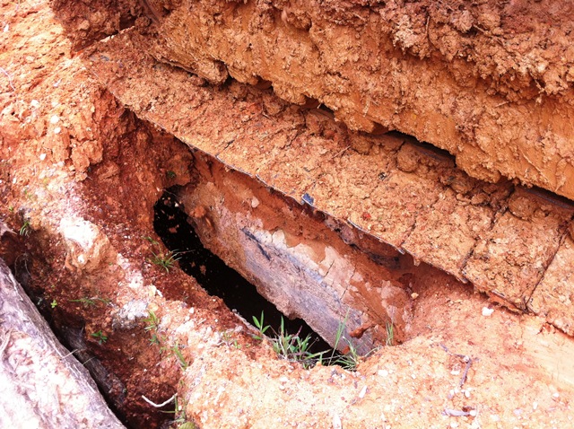 Description: D:\Gil Job Related Doc\Guyana\Guyana Photo Album\2012\Photos\04-09-12\web\30.jpg