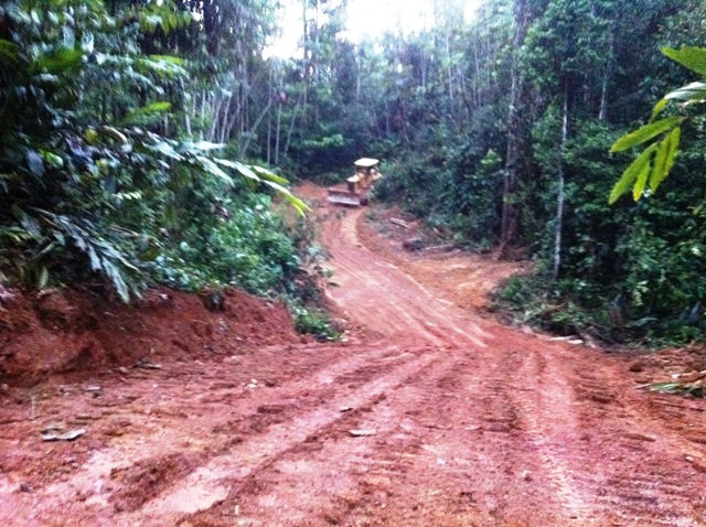 Description: D:\Gil Job Related Doc\Guyana\Guyana Photo Album\2012\Photos\04-09-12\web\42.jpg