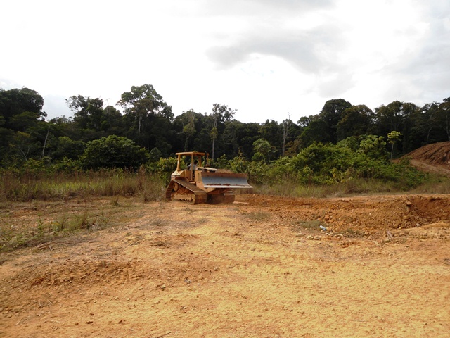 Description: D:\Gil Job Related Doc\Guyana\Guyana Photo Album\2012\02-15-12\web\7.jpg