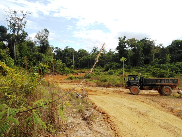 Description: D:\Gil Job Related Doc\Guyana\Guyana Photo Album\2012\02-15-12\web\8.jpg