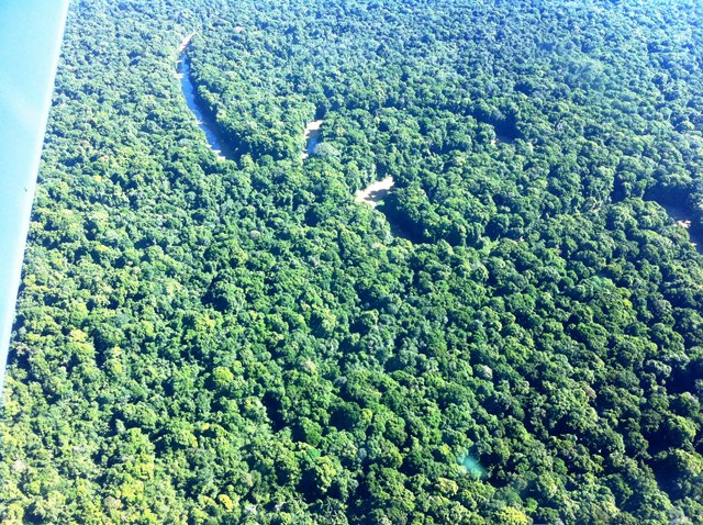 Description: D:\Gil Job Related Doc\Guyana\Guyana Photo Album\2012\02-20-12\web 1\6.jpg