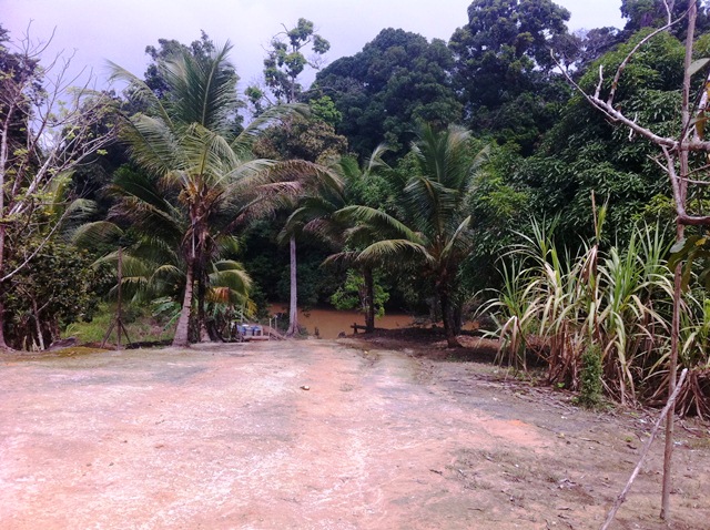 Description: D:\Gil Job Related Doc\Guyana\Guyana Photo Album\2012\02-23-12\1 With Maik at the Landing\6.jpg