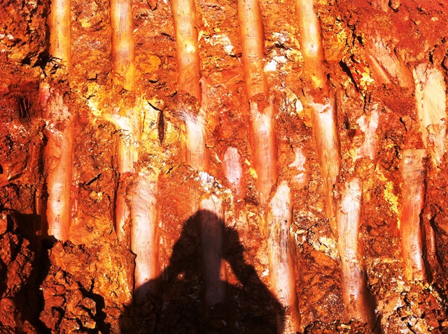 Description: D:\Gil Job Related Doc\Guyana\Guyana Photo Album\2012\02-23-12\2 Maik Camp\17.jpg