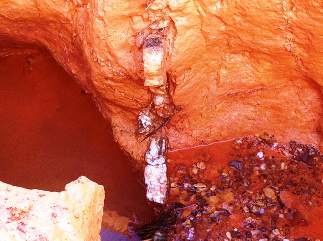 Description: D:\Gil Job Related Doc\Guyana\Guyana Photo Album\2012\02-23-12\2 Maik Camp\21.jpg