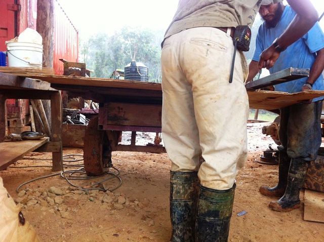 Description: D:\Gil Job Related Doc\Guyana\Guyana Photo Album\2012\02-24-12\Web\4.jpg