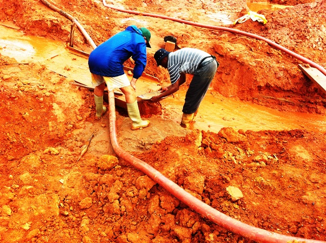 Description: D:\Gil Job Related Doc\Guyana\Guyana Photo Album\2012\02-26-12-Sam\Brain\Brain Visit\13.jpg