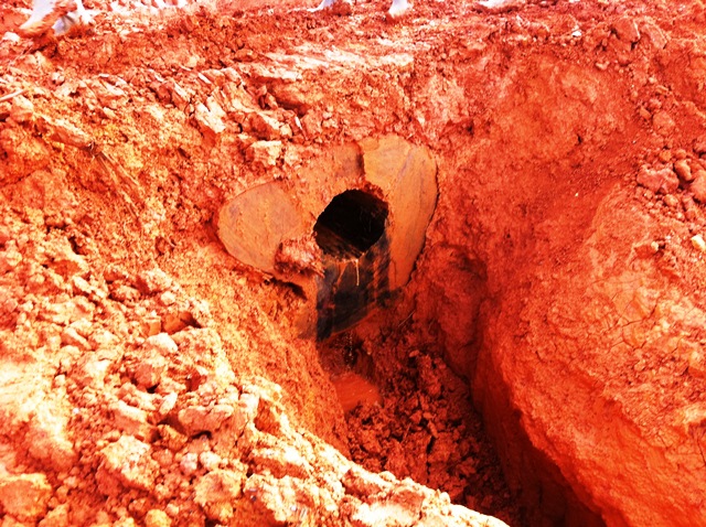 Description: D:\Gil Job Related Doc\Guyana\Guyana Photo Album\2012\02-26-12-Sam\Brain\Brain Visit\17.jpg