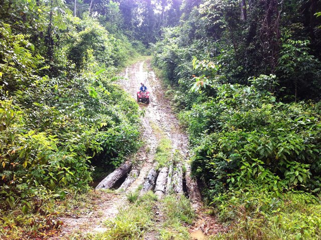 Description: D:\Gil Job Related Doc\Guyana\Guyana Photo Album\2012\02-27-12\web\15.jpg