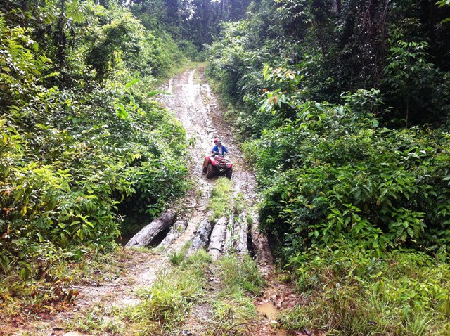 Description: D:\Gil Job Related Doc\Guyana\Guyana Photo Album\2012\02-27-12\web\16.jpg