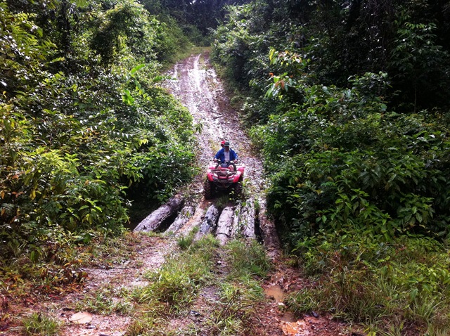 Description: D:\Gil Job Related Doc\Guyana\Guyana Photo Album\2012\02-27-12\web\17.jpg