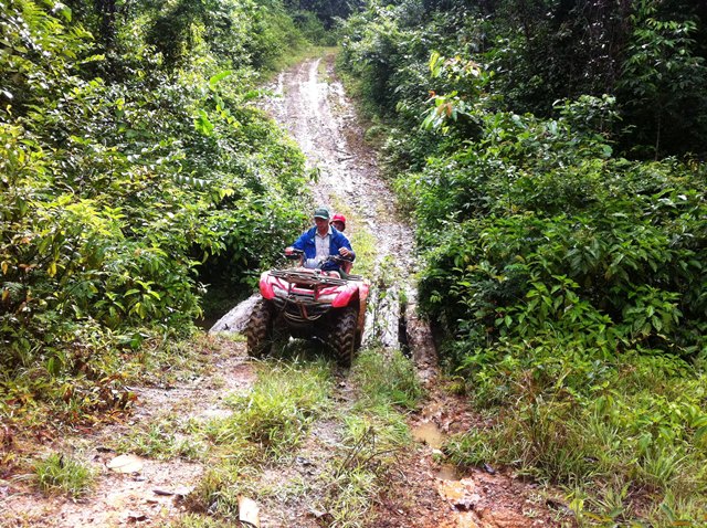 Description: D:\Gil Job Related Doc\Guyana\Guyana Photo Album\2012\02-27-12\web\18.jpg