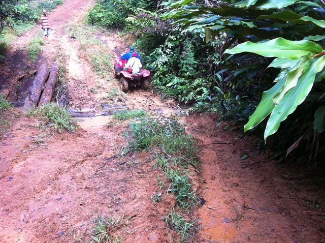 Description: D:\Gil Job Related Doc\Guyana\Guyana Photo Album\2012\02-27-12\web\20.jpg