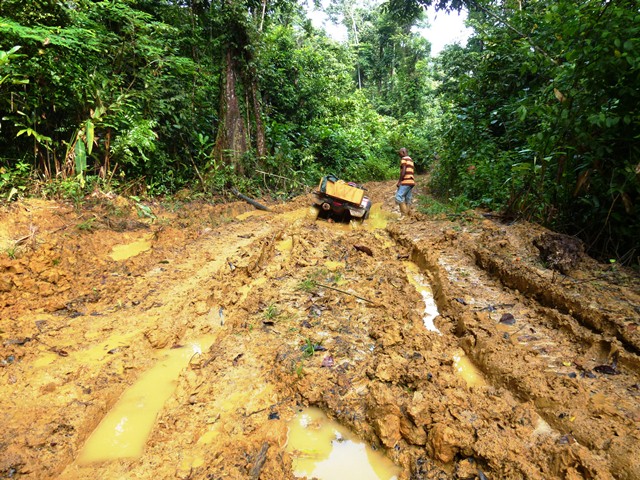 Description: D:\Gil Job Related Doc\Guyana\Guyana Photo Album\2012\02-27-12\web\21.jpg