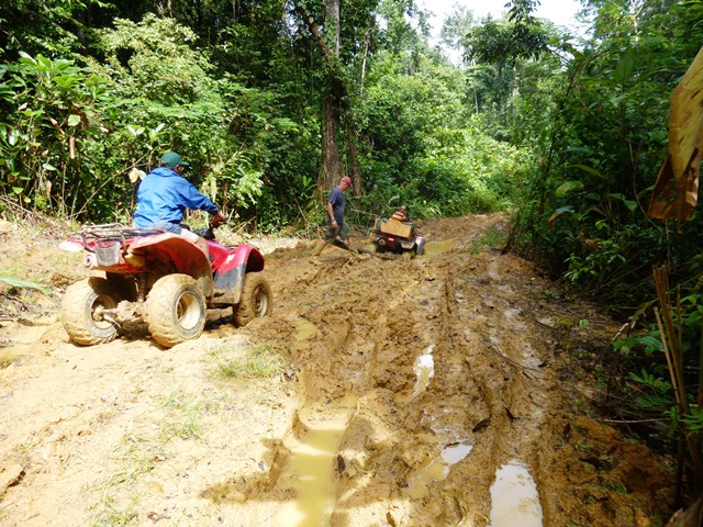 Description: D:\Gil Job Related Doc\Guyana\Guyana Photo Album\2012\02-27-12\web\24.jpg