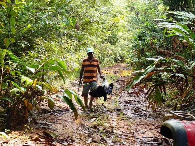 Description: D:\Gil Job Related Doc\Guyana\Guyana Photo Album\2012\02-27-12\web\32.jpg