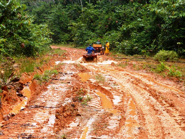 Description: D:\Gil Job Related Doc\Guyana\Guyana Photo Album\2012\02-27-12\web\33.jpg